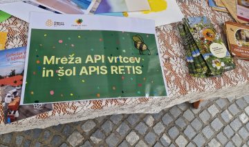 API PUSTOLOVŠČINA