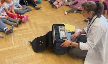 Predstavitev poklica zdravnik