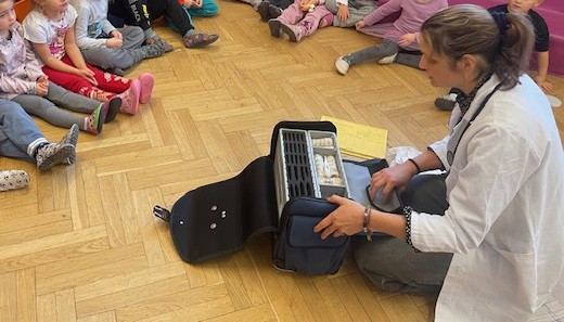 Predstavitev poklica zdravnik